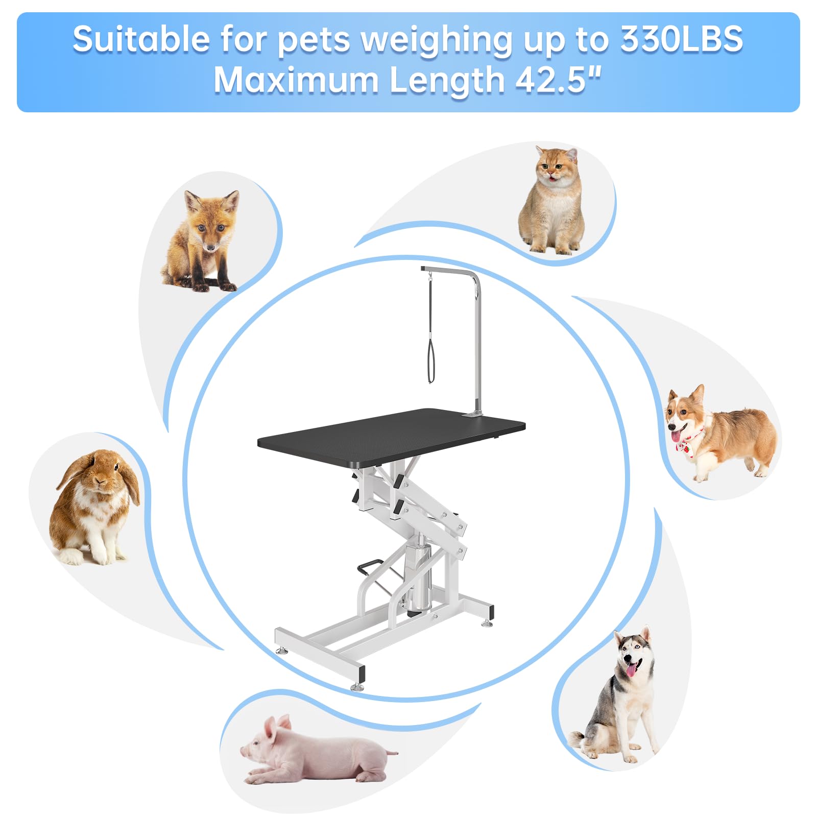 Amazon.com: KELRIA 43Inch Hydraulic Pet Grooming Table, Heavy Duty